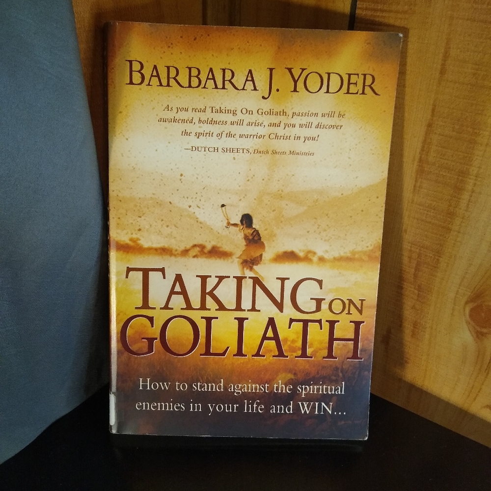 Taking on Goliath Paper Back By Barbara J Yoder